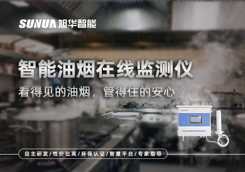 智能油烟在线监测仪：看得见的油烟，管得住的安心